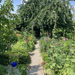 1. Braunschweiger Kleingartenwettbewerb „Kleingärten – nachhaltig, ökologisch“