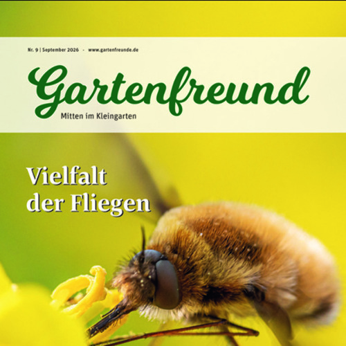 Gartenfreund-Ausgabe 09/2026 abrufbar