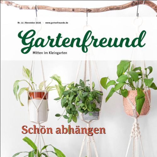 Gartenfreund-Ausgabe 11/2026 abrufbar