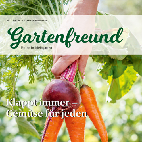Gartenfreund-Ausgabe 03/2026 abrufbar