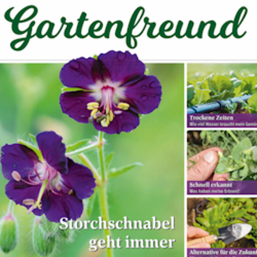 Gartenfreund-Ausgabe 06/2025 abrufbar