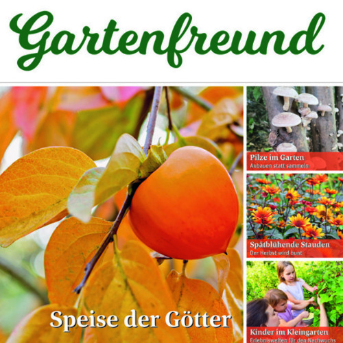 Gartenfreund-Ausgabe 09/2025 abrufbar
