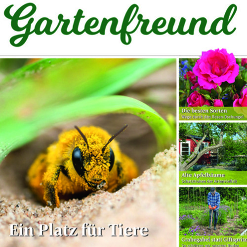 Gartenfreund-Ausgabe 10/2025 abrufbar
