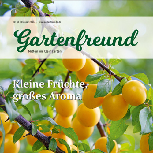 Gartenfreund-Ausgabe 10/2026 abrufbar