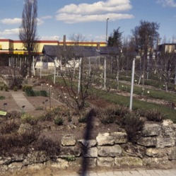 1998 - Umgestaltung des Lehrgartens