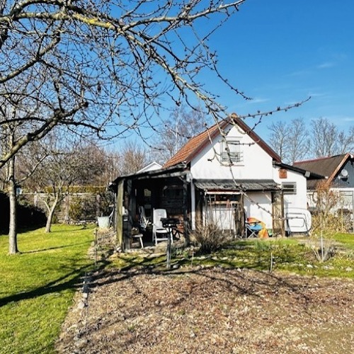 Kleing&auml;rtnerverein Zum Frieden e.V.