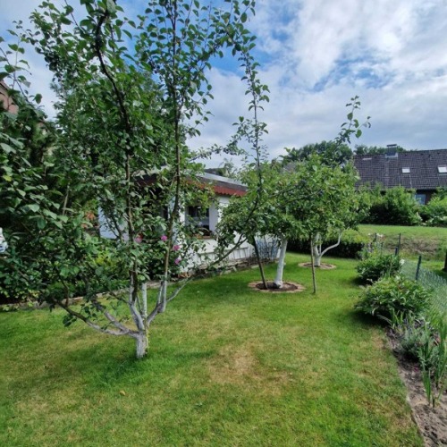 Kleingartenverein e.V. Am Waldweg Bechtsb&uuml;ttel